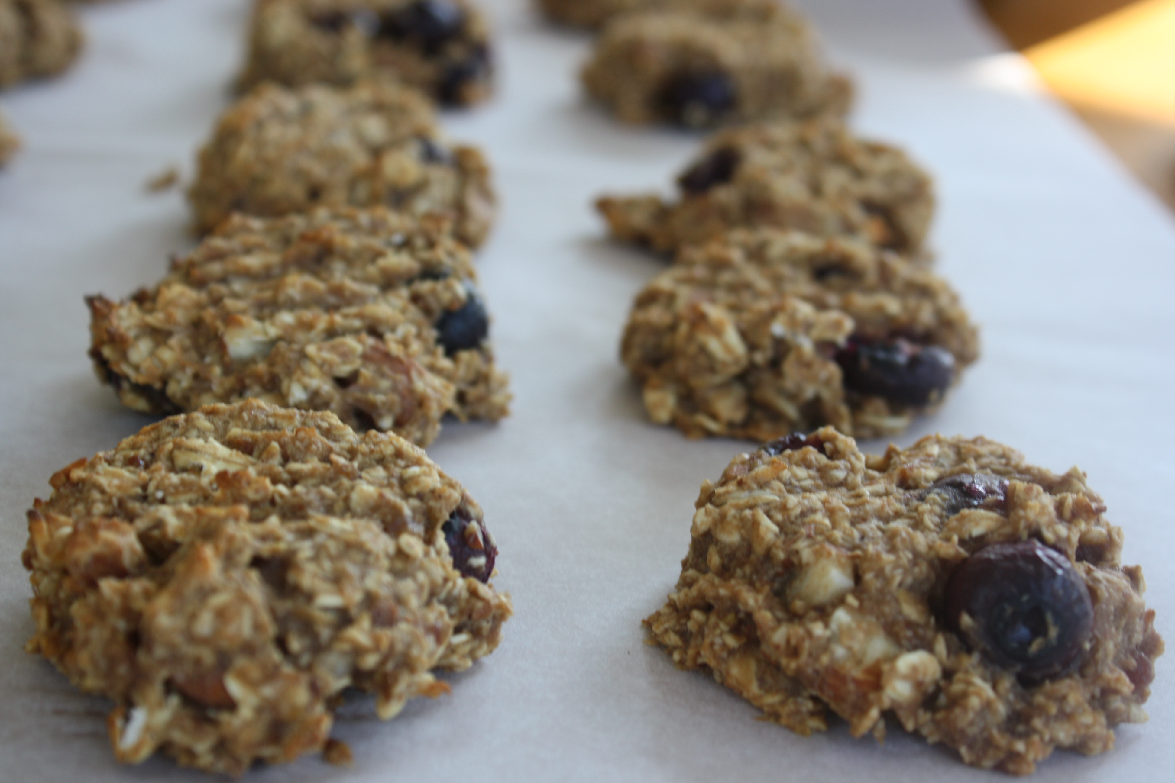 Oatmeal Almond Cookies